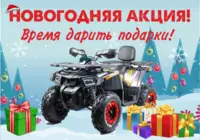 Новогодняя акция на детские квадроциклы