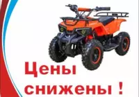 Квадроциклы по специальным ценам!