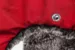 Шапка-ушанка Finntrail Hat Terra 2950 (Red XL-2XL)