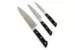 Набор ножей подарочный Satake Stainless Bolster  (3 ножа)  HG8362