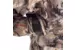 Куртка SITKA Delta Wading Jacket   (Optifade Waterfowl XXL)