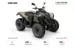 Квадроцикл Can-Am Renegade STD T 650  '2022