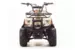 Квадроцикл MOTOLAND ATV 110 RIDER