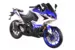 Мотоцикл Racer RC250XZR-A Storm (Синий, , )