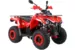 Квадроцикл Mikilon Hammer 200 L Pro / Pro-R (Красный стандартная )