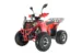 Квадроцикл ATV WELS Thunder 125 EVO (Красный, , , )