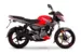Мотоцикл Bajaj Pulsar NS 125 (Красный/Серый, , )