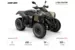 Квадроцикл Can-Am Renegade X XC T 650 '2022