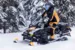 Снегоход Ski-Doo SKANDIC LE 900 ACE (650W) DELE 20in 2023