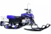 Снегоход DINGO T125 125cc 4т