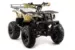 Квадроцикл MOTOLAND ATV 150 MAVERICK