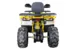 Квадроцикл MOTOLAND ATV 200 WILD TRACK X WINCH