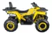Квадроцикл MOTOLAND ATV 200 WILD TRACK X WINCH