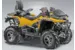 Квадроцикл STELS ATV 800 GUEPARD Trophy Pro