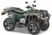 Квадроцикл STELS ATV 600 Y LEOPARD