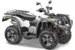 Квадроцикл STELS ATV 600 Y LEOPARD