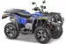 Квадроцикл STELS ATV 600 Y LEOPARD