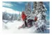 Снегоход Ski Doo Summit X Expert 154 850 E-TEC SHOT 2021