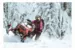 Снегоход Ski Doo Summit X Expert 154 850 E-TEC SHOT 2021
