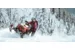 Снегоход SKI DOO Summit X Expert 154 850 E-TEC SHOT Gray 2021