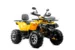 Квадроцикл MOTOLAND ATV 200 WILD TRACK X PRO
