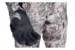 Перчатки SITKA Stormfront GTX Glove