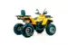 Квадроцикл MOTOLAND ATV 200 WILD TRACK X PRO