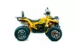 Квадроцикл MOTOLAND ATV 200 WILD TRACK X PRO