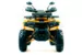 Квадроцикл MOTOLAND ATV 200 WILD TRACK X PRO