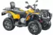 Квадроцикл STELS ATV 600 YL LEOPARD