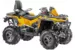 Квадроцикл STELS ATV 650 GUEPARD Trophy