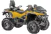 Квадроцикл STELS ATV 800 GUEPARD Trophy Pro EPS