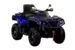 Квадроцикл AODES Pathcross ATV 650 L EPS двухместный