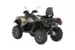 Квадроцикл STELS ATV 800 Trophy EPS CVTech