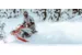 Снегоход SKI DOO Backcountry XRS 146 850 E-TEC ES 2021