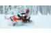 Снегоход SKI DOO Backcountry XRS 154 850 E-TEC ES 2021