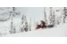 Снегоход SKI DOO Summit X Expert 165 850 E-TEC Turbo SHOT 2021