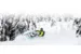Снегоход Ski-Doo Freeride 850 165