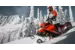 Снегоход Ski-Doo Summit X 154 850 E-Tec Shot  2019