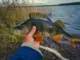 Твистеры Lucky John Pro Series Ballist 2.0 in