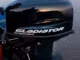 Мотор GLADIATOR G 9.9 PRO FHS