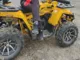 Квадроцикл MOTOLAND ATV 200 WILD TRACK X PRO