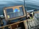 Эхолот Lowrance Elite FS 9