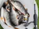 Слаги плав. Lucky John Pro Series Ultraworm 1.4 in
