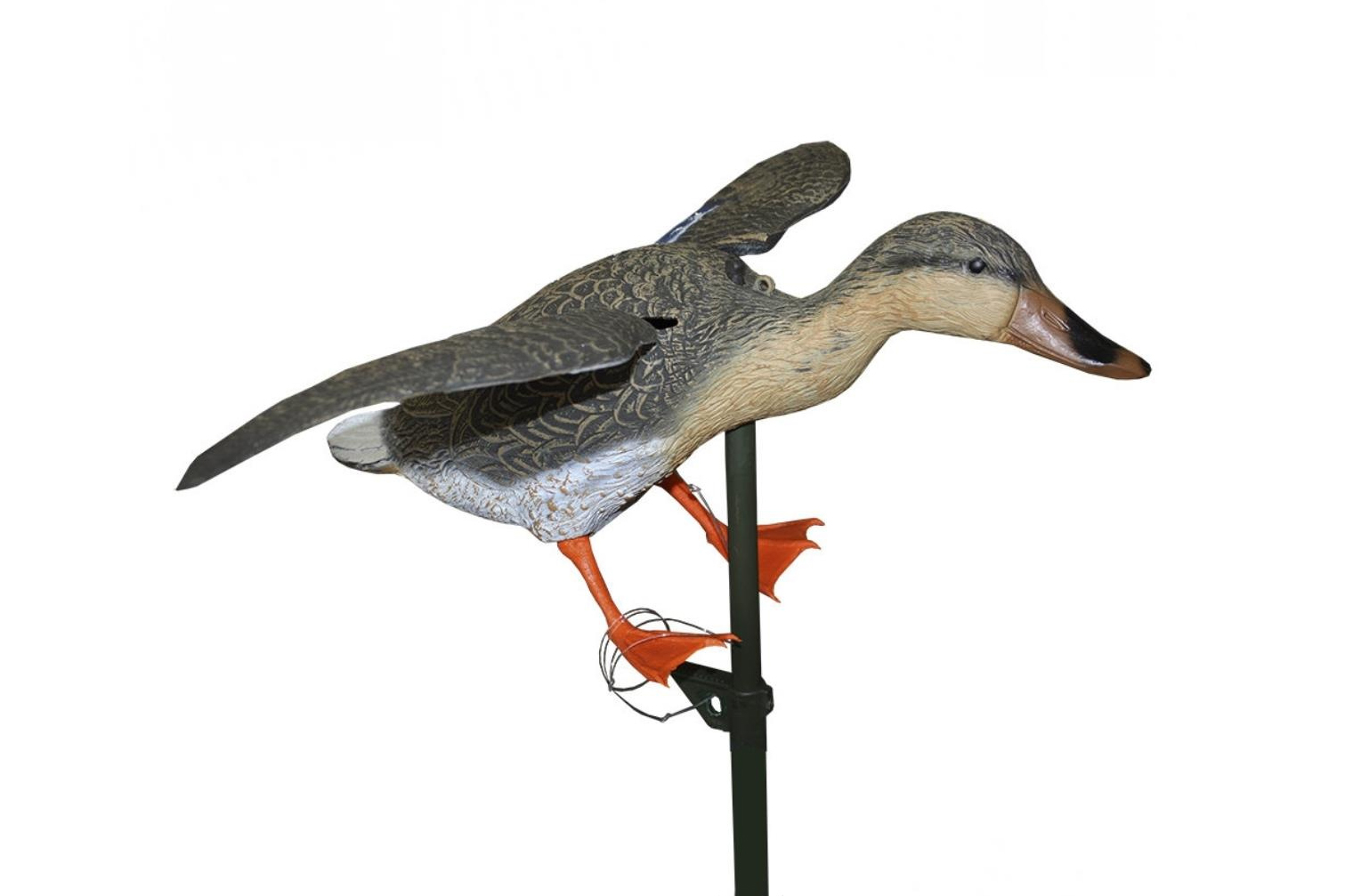 Механическое чучело утки mojo hw2470. Механическая утка. Машет крыльями кряква. Пугало утка. Размер утки махокрыл.