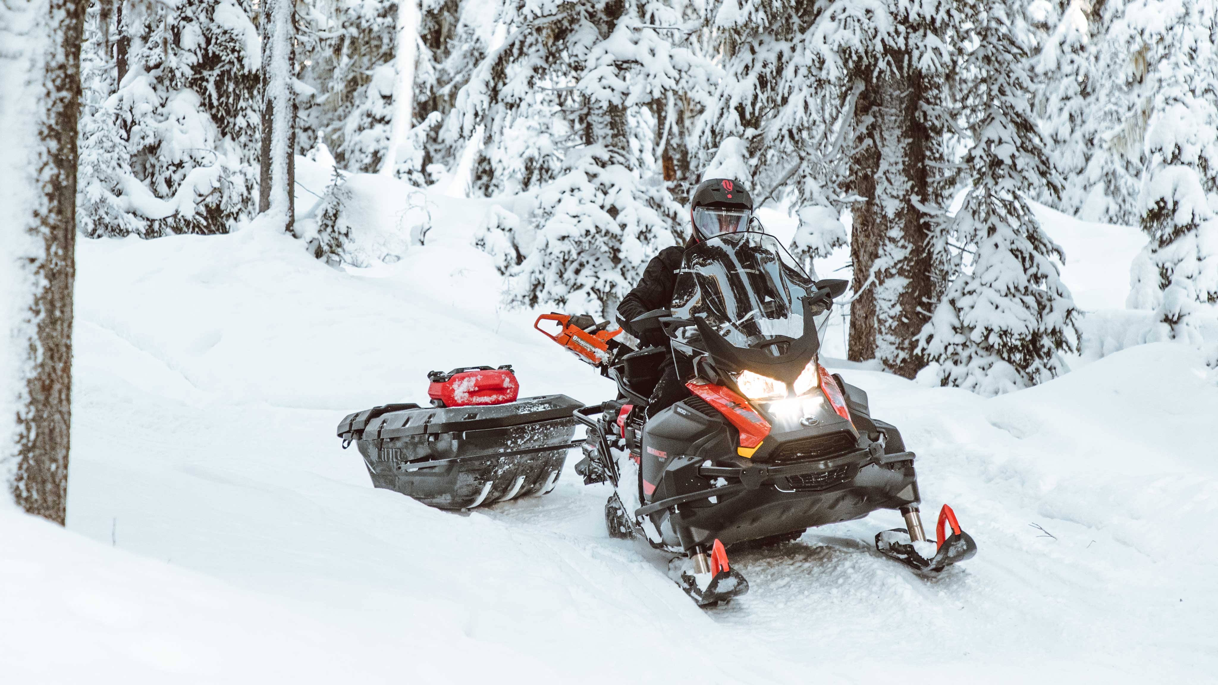 Купить Снегоход SKI DOO Skandic SWT 900 ACE 650W DELE 2022 по выгодной